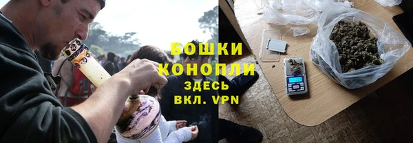 сатива Аркадак