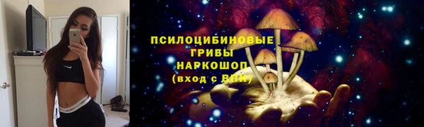 кокс Алзамай