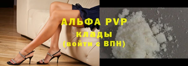 сатива Аркадак