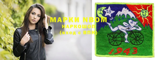 сатива Аркадак